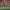Jack Willis, lors du match Toulouse - Perpignan, pour la deuxième journée du Top 14 25-26