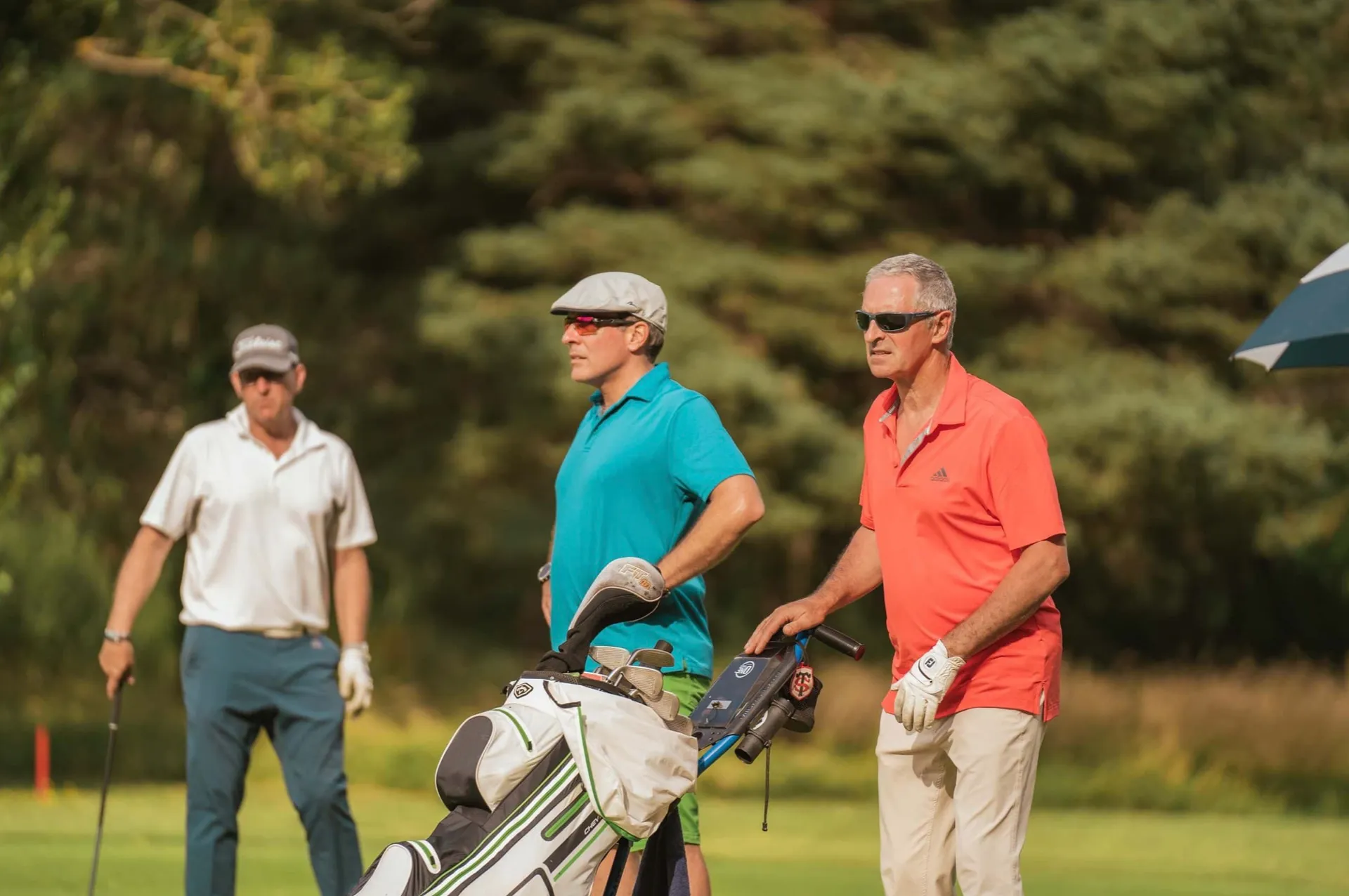 Open Golf
