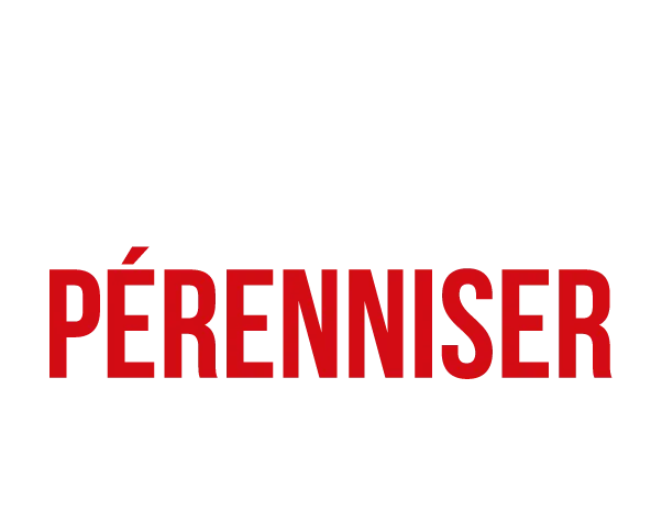 Picto pérenniser la formation